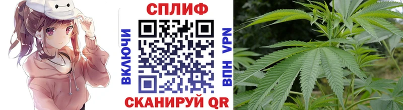 Конопля план  Мамоново 